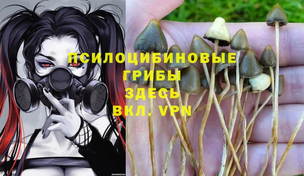стаф Верхний Тагил